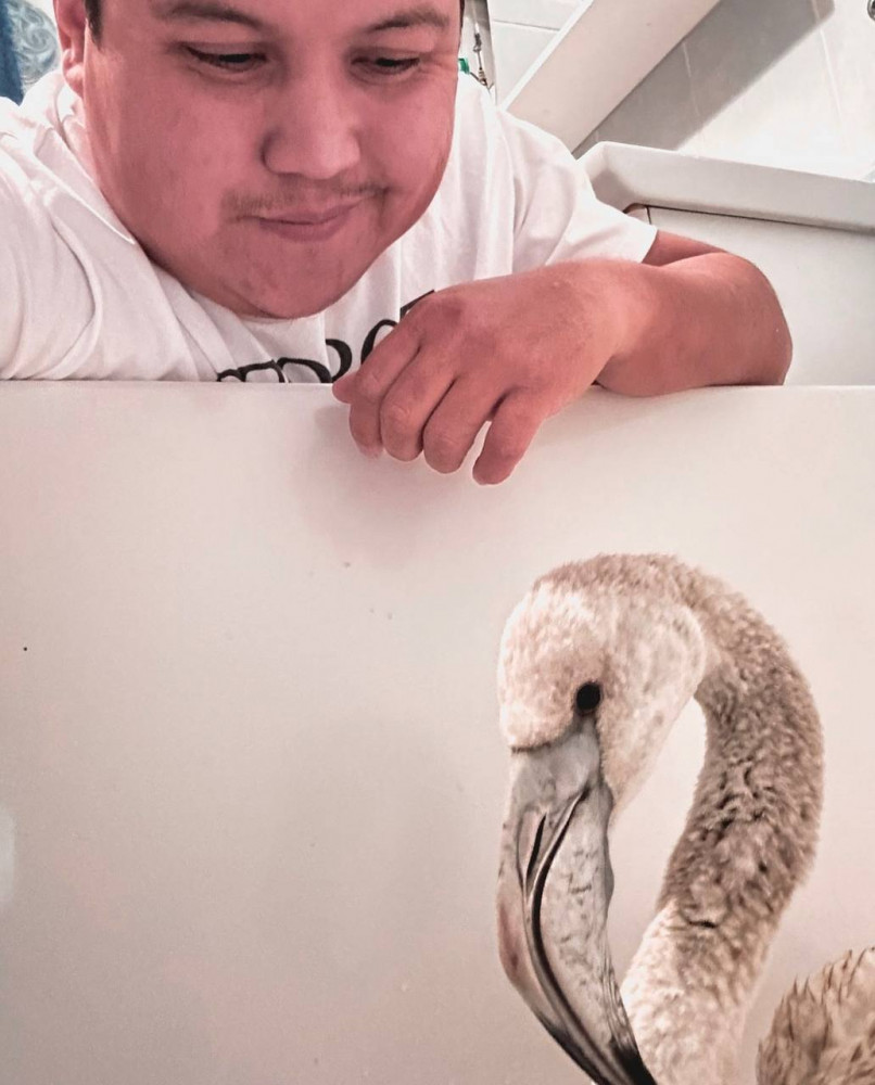 Ақшақар және жеті гномдар порно